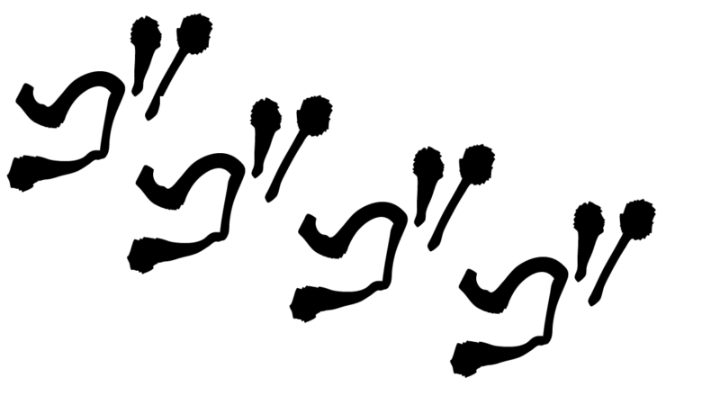 うねる文字で描かれる「ゴゴゴゴ」